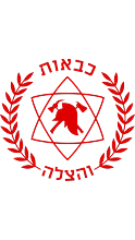 לוגו כבאות והצלה לישראל